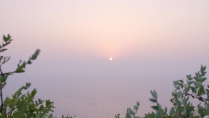 延时 日出 海面 树叶 海天一线