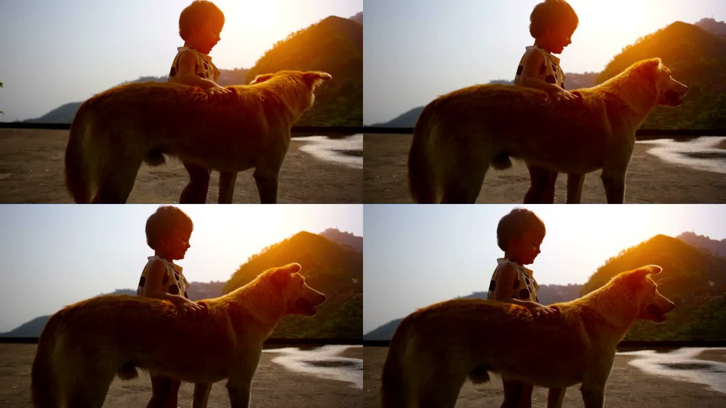 小女孩在日落时间与狗玩耍