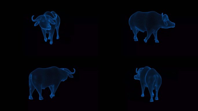 4K蓝色全息科技线框动物 牛素材带通道