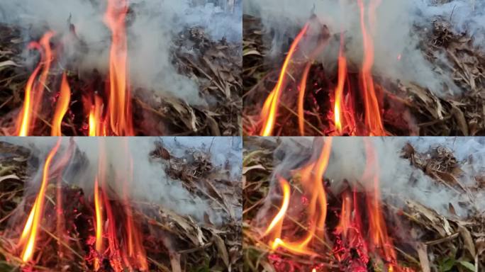 实拍烧禾杆烧杂草改良土壤 烧火焰烟雾缭绕