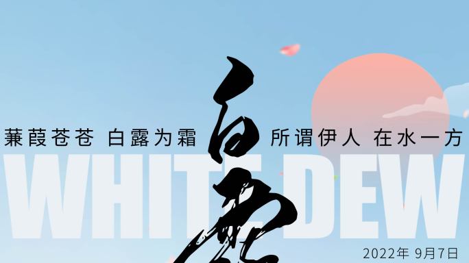 原创4K白露传统节日企业微信朋友圈15s