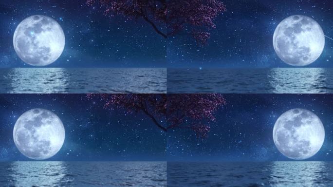 【视频素材】海上生明月