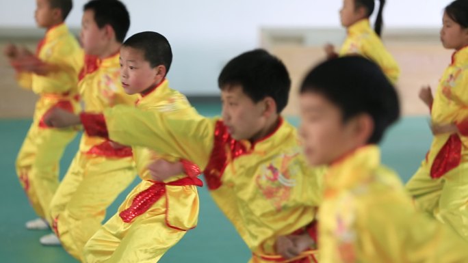 少年儿童学生孩子传统武术马步打拳非遗培训