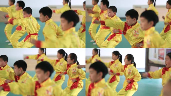少年儿童学生孩子传统武术马步打拳非遗培训