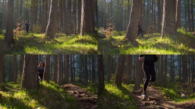 夏天在阳光照射的森林小道上跑步的健康女性