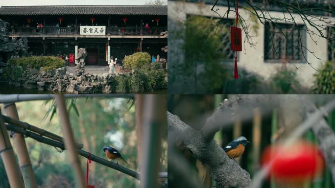 4K 扬州个园景区风景短片