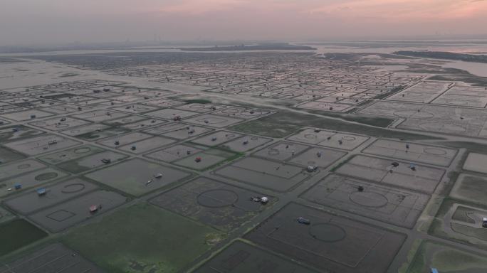 阳澄湖蟹湖5.1K分辨率夕阳夜景航拍视频