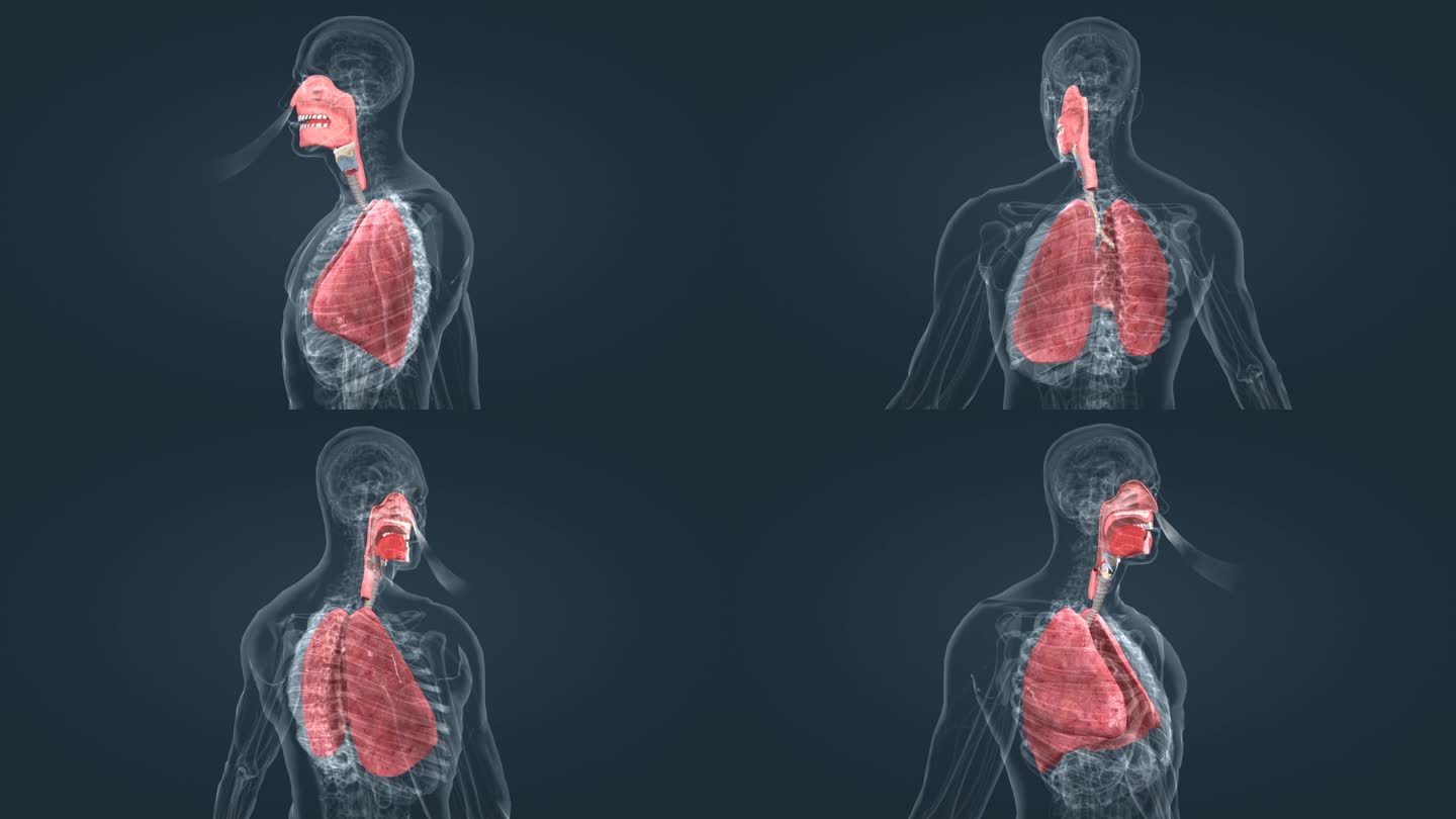 呼吸系统疾病 新冠肺炎 疫情 呼吸道疾病