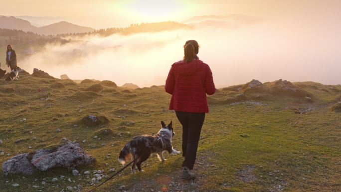 年轻的女人和狗在山上散步