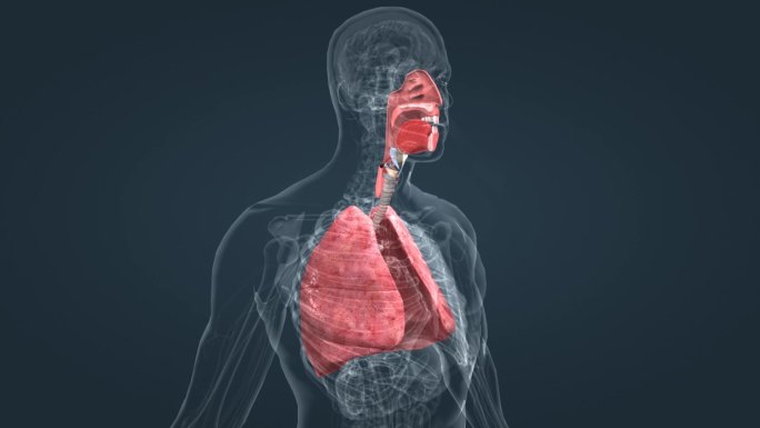 呼吸道疾病 慢性组织 肺组织 生理 病例