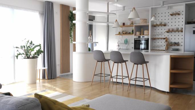 现代公寓，配有简约装饰、厨房和客厅