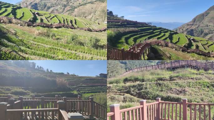 四川省攀枝花市米易县米易梯田风景