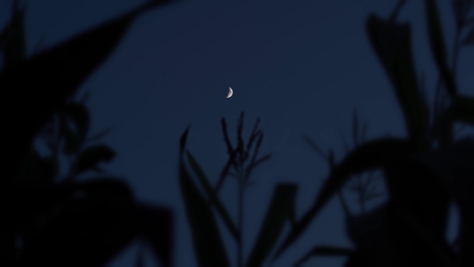 农村天空月牙丨4K丨原创实拍