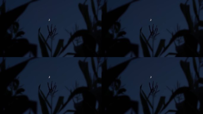 农村天空月牙丨4K丨原创实拍