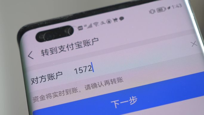 电信网络诈骗支付宝转账汇款