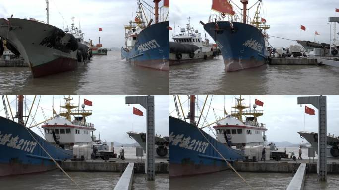 海鲜交易-渔船卸货