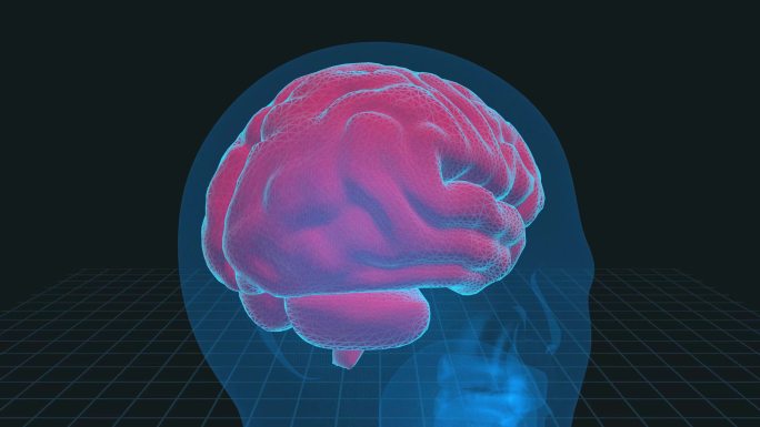 人脑3D插图-4K循环医学背景