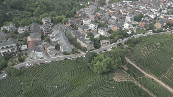 西湖区转塘街道美丽乡村光明寺水库