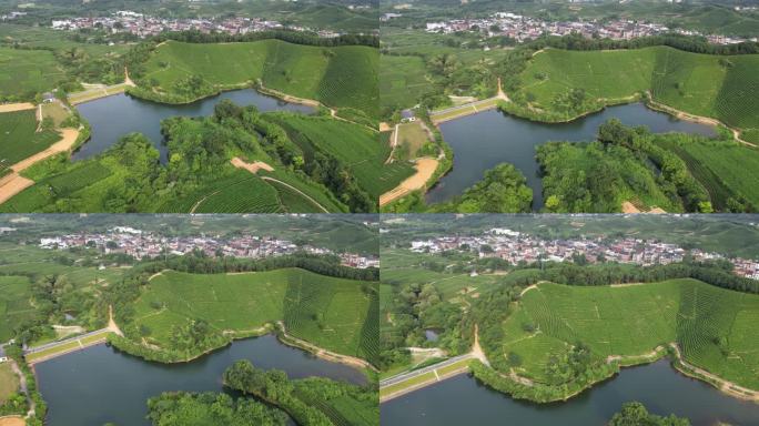 西湖区 转塘街道 美丽乡村 光明寺水库