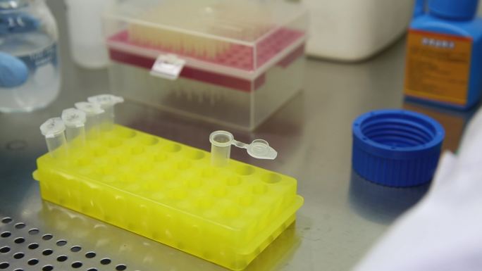 DNA检验监测实验室