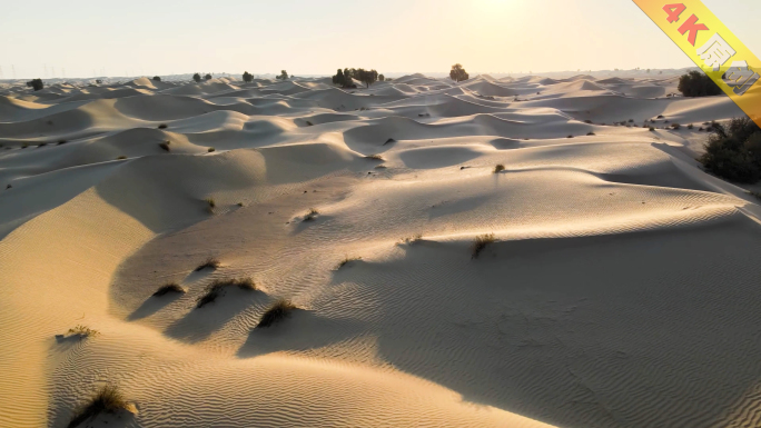 航拍沙漠黄沙沙海沙纹阿拉善沙漠