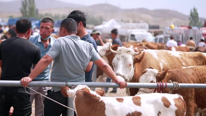 牛羊大巴扎 新疆农贸市场