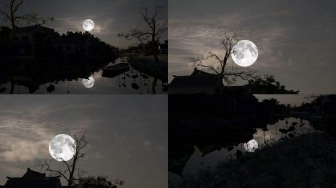 荷塘乡村月光