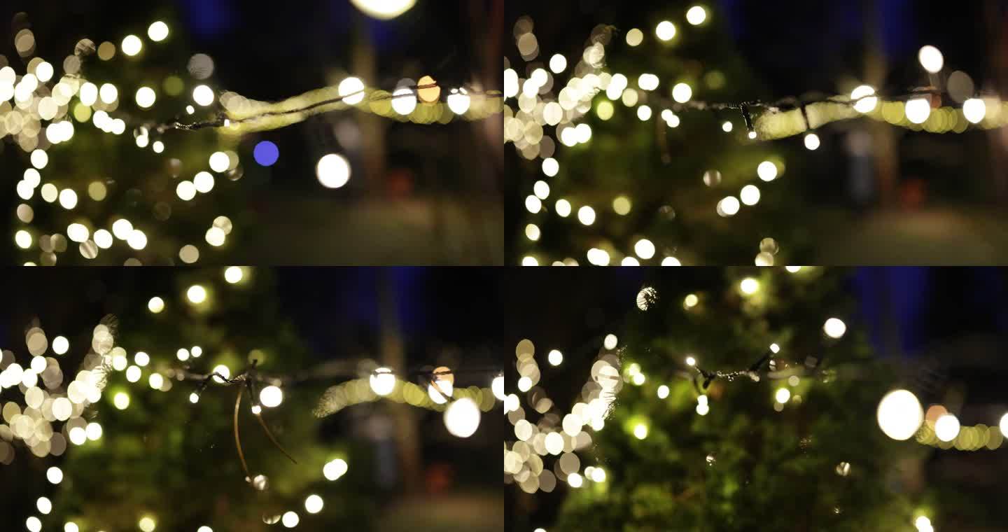 圣诞前夜后院的圣诞灯