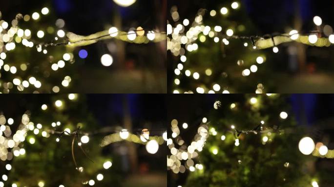 圣诞前夜后院的圣诞灯