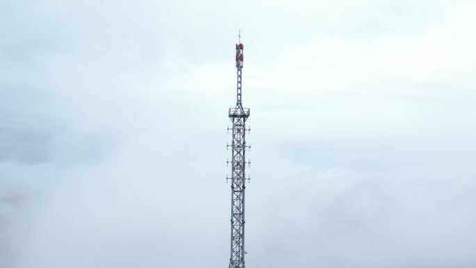 迷雾森林上的5G通讯塔