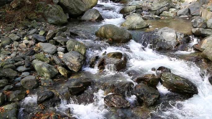 自然 环境 生态 溪流 流水 神农架溪流