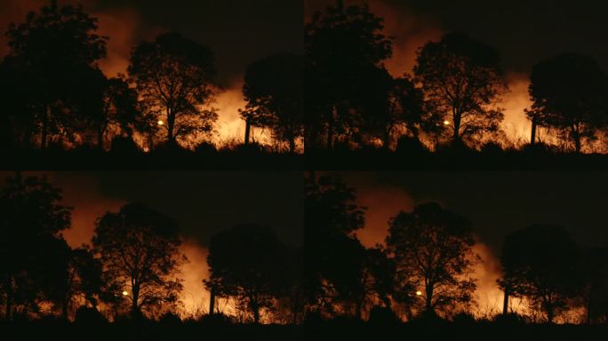 森林火灾现场是燃烧的原因