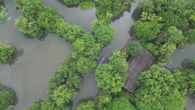 杭州西湖 西溪湿地 国家公园 湿地公园