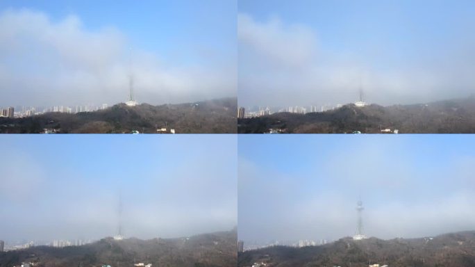 青岛电视台平流雾