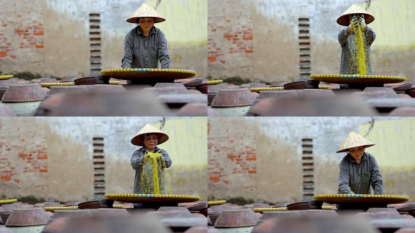 越南妇女在古老的房子院子里制作大豆酱和酱罐，这是一种由大豆制成的发酵豆酱，通常用于越南烹饪