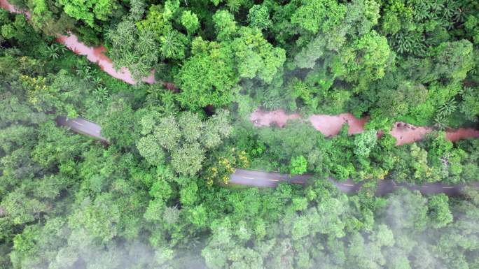 【4K】公路在热带雨林穿梭，雨林公路