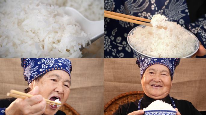 米饭 大米饭 水稻