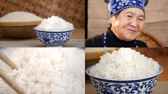 米饭 大米饭 水稻