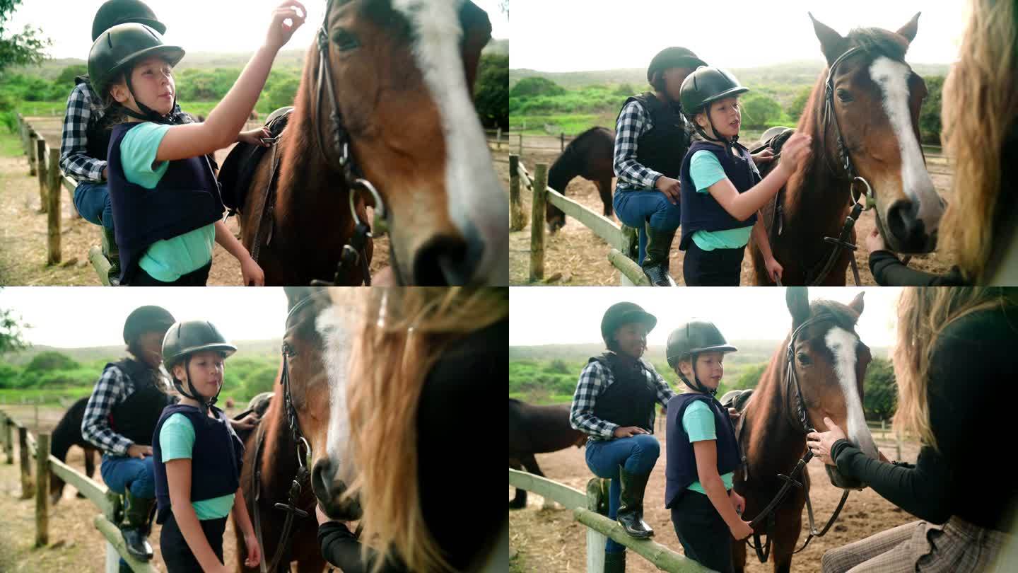 女孩们在乡村围场里抚摸马，学习骑马