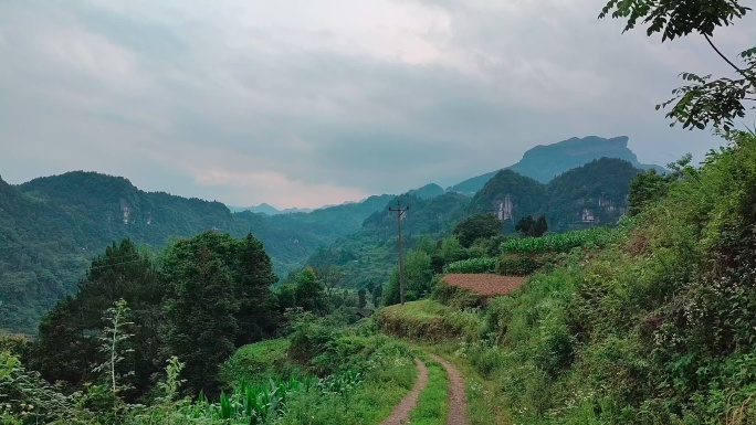 一条通往山村的土路