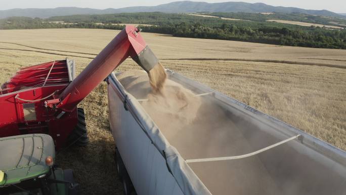 联合收割机将玉米谷物倒入卡车的拖车中。