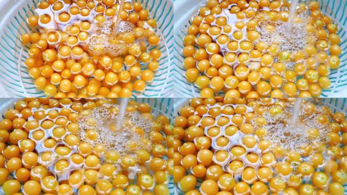 清水冲洗金黄的菇娘果