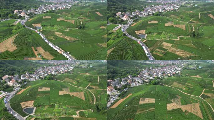 西湖区 转塘街道 美丽乡村 光明寺水库