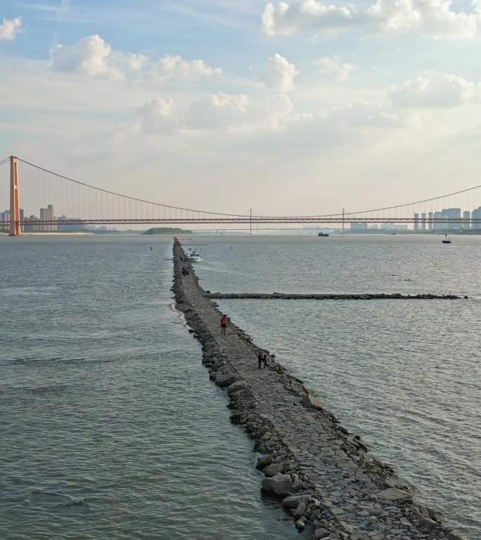 武汉鹦鹉洲桥下出现江心小路竖屏版