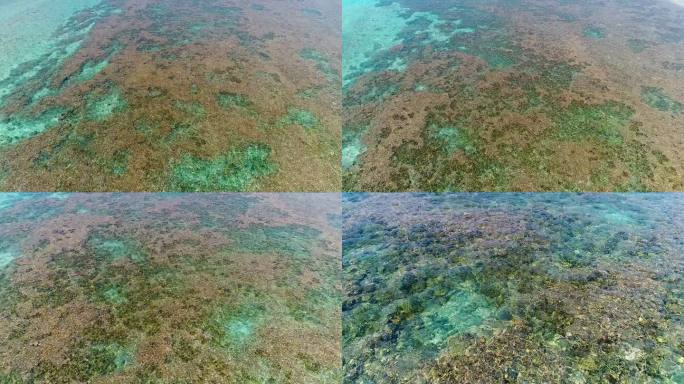 航拍南海清澈见底的大海珊瑚礁海洋生态