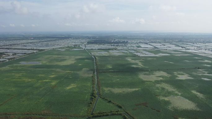 洪泽湖湿地航拍