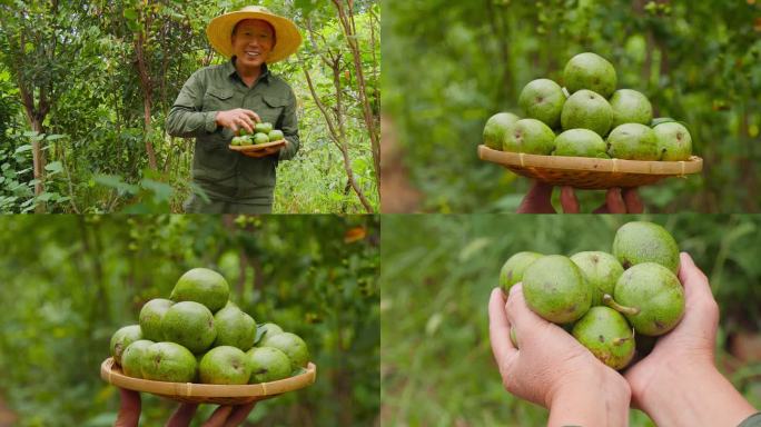 新鲜青核桃