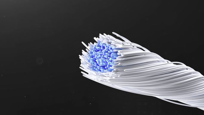 科技面料纤维-编织生长结构展示