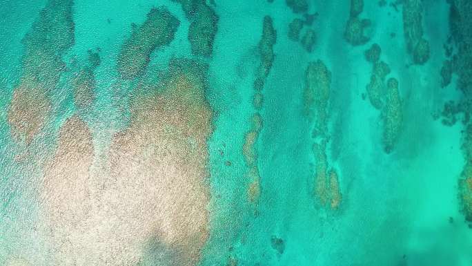 航拍南海深蓝色大海海底珊瑚海礁合集2