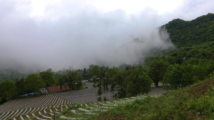 雨后的大山里